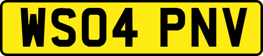 WS04PNV