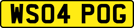 WS04POG