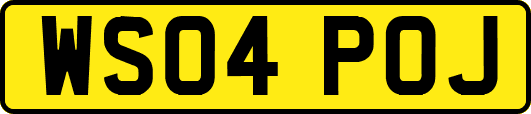 WS04POJ
