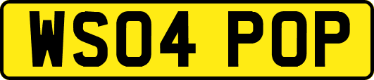 WS04POP