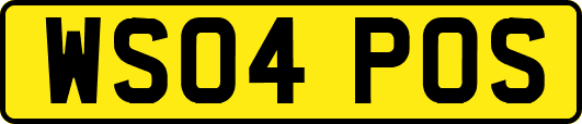 WS04POS