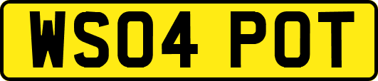 WS04POT