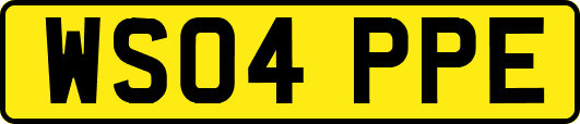 WS04PPE
