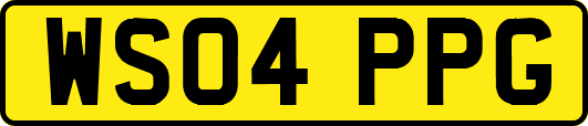 WS04PPG