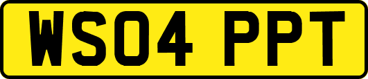 WS04PPT