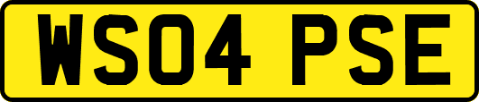 WS04PSE
