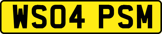 WS04PSM