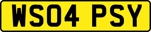WS04PSY