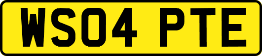 WS04PTE