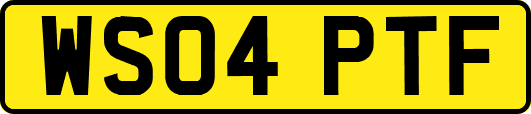 WS04PTF