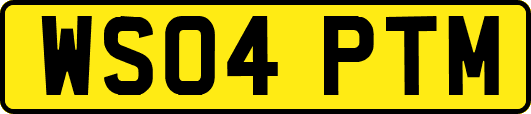WS04PTM