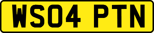 WS04PTN