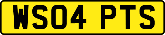 WS04PTS