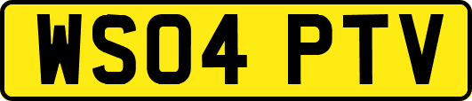 WS04PTV