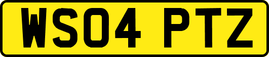 WS04PTZ