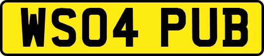 WS04PUB