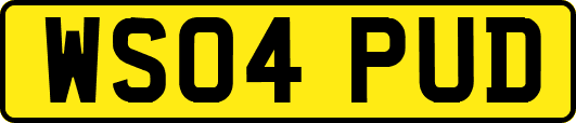 WS04PUD