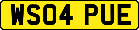 WS04PUE