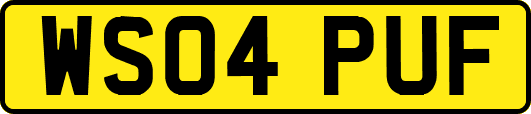 WS04PUF