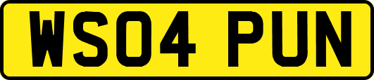 WS04PUN