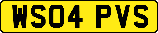 WS04PVS