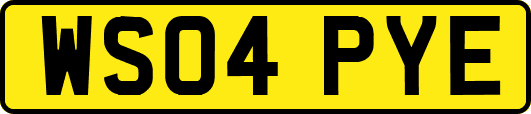 WS04PYE
