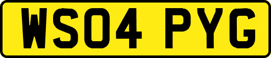 WS04PYG