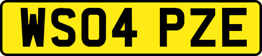 WS04PZE