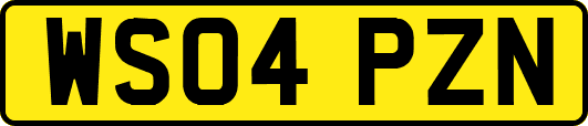 WS04PZN