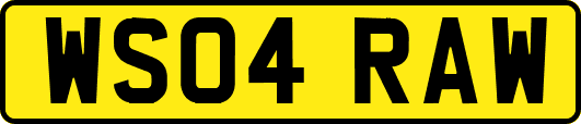 WS04RAW