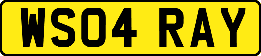 WS04RAY