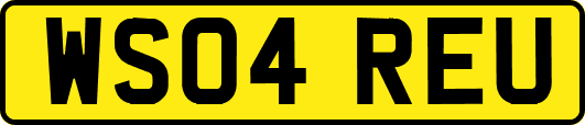 WS04REU