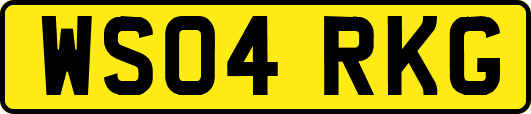 WS04RKG