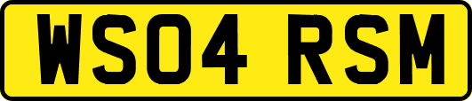 WS04RSM