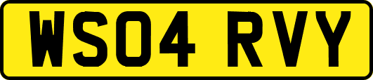 WS04RVY