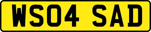 WS04SAD