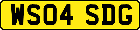 WS04SDG