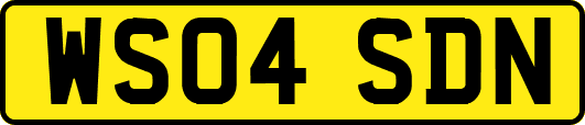 WS04SDN