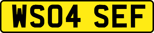 WS04SEF