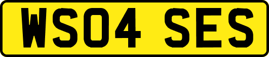 WS04SES
