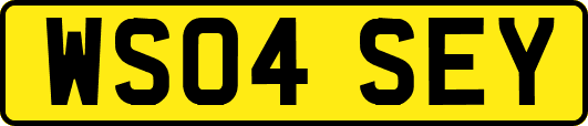 WS04SEY