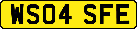 WS04SFE