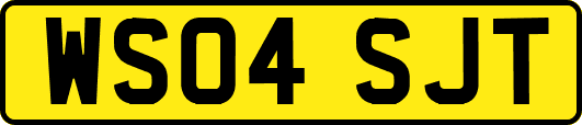 WS04SJT