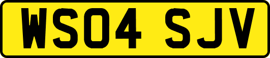 WS04SJV