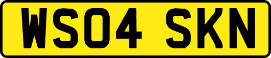 WS04SKN