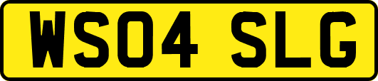WS04SLG