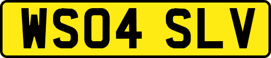 WS04SLV