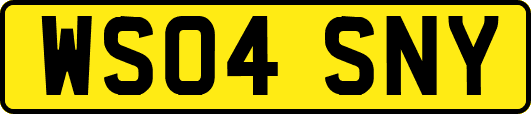 WS04SNY