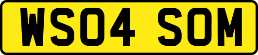 WS04SOM