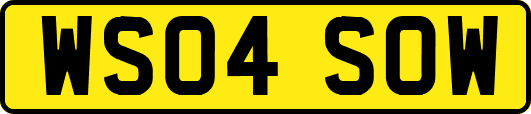 WS04SOW